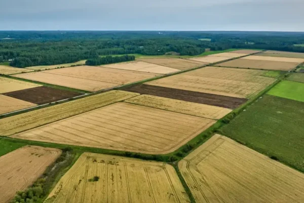 Agricultural Land